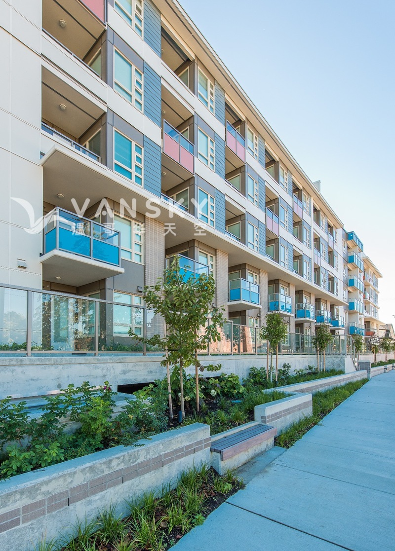 251011215423_Camellia - building.jpeg